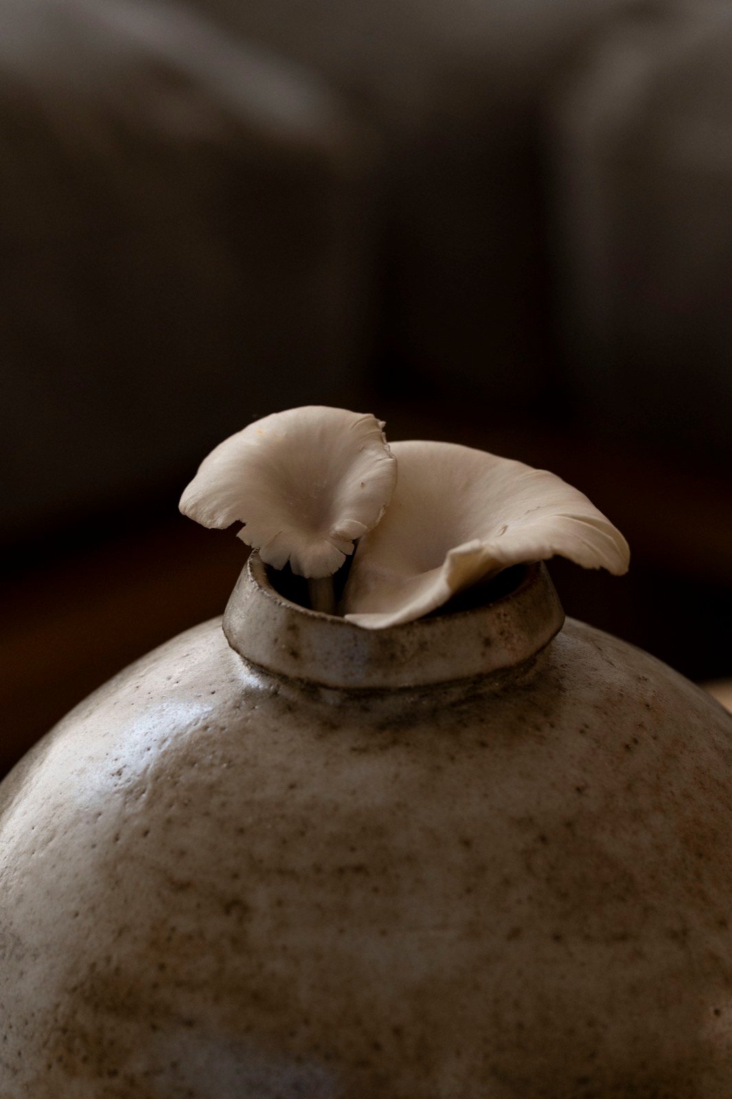 Vase with mushroom